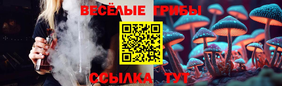 Псилоцибиновые грибы Magic Shrooms  Вход с VPN  Ачхой-Мартан 